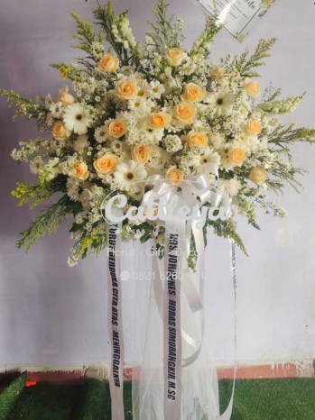 standing bunga dukacita